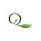 Luxury Tropical Nature Leaves letter Q logo