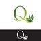 Luxury Tropical Nature Leaves letter Q logo