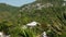 Luxury villas on mountain slope. Drone view of luxury houses located amidst exotic trees on green mountain on sunny day