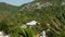 Luxury villas on mountain slope. Drone view of luxury houses located amidst exotic trees on green mountain on sunny day on