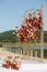 Luxury wedding arch on the river bank decorated with fresh flowers, wedding background, wedding, beautiful sunny summer day