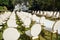Luxury white-golden chairs on wedding ceremony outdoors. Festive decorations. Empty rows armchairs for guests.