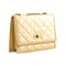 Luxury women bag over white