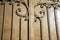 Luxury Wrought Iron Fence Detail