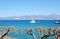 Luxury yacht, turquoise Aegean Sea and cut trees