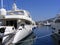 Luxury Yachts in Marina