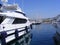 Luxury Yachts in Marina