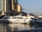 Luxury Yachts at Marina Walk Dubai