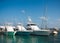 Luxury yachts moored in the marina of the Caribbean sea