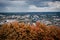 Lviv from the height of the high castle mountains