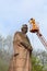 LVIV, UKRAINE - April 16, 2018: Cleaning expert clean the monument to Ivan Franko.