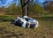 LVIV, UKRAINE - April 16, 2020 : Trash around the trees in forest. Debris, Plastic waste. Environmental Pollution. Ecological