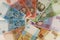 LVIV, UKRAINE - December 15, 2020: Ukrainian money hryvnia close-up