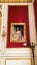 LVIV, UKRAINE - DECEMBER 7, 2019: A huge beautiful painting on the walls of the museum of the Palace of Potocki. Close-up.
