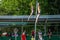 LVIV, UKRAINE - JUNE 2016: Young children are trained in the tower diving in the pool