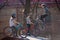 Lviv, Ukraine - March 12, 2020: BMX in the city skatepark. A group of teens on Bmx bikes in a skate park. Extreme sports