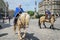 LVIV, UKRAINE - MAY 2018: Knight sitting on a horse in a carnival costume rides in the center of the city on parade