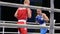 LVIV, UKRAINE - November 14, 2017 Boxing tournament. Lightweight boxer sends opponent to knockdown.