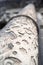 LVIV, UKRAINE - october 13, 2019 Abstract classic interior fragment, decorative column texture. Architectural detail of marble