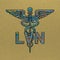 LVN Nurse, Medical symbol caduceus nurse practitioner LVN vector, coloring medical symbol