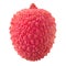 Lychee, clipping path, isolated on white