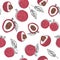 Lychee fruit hand draw graphic color seamless pattern. Continuous line hand drawn illustration