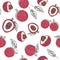 Lychee fruit hand draw graphic color seamless pattern. Continuous line hand drawn vector illustration.