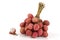 Lychee, Litchi (Litchi chinensis Sonn.)