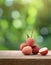 Lychee on wood with a blurred green background