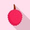Lychees fruit icon, flat style