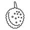 Lychees fruit icon, outline style