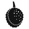 Lychees fruit icon, simple style