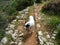 On the Lycian Way long-distance trail, Turkey: dog in the Roman aqueduct near Delikkemer