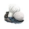 Lycoperdon marginatum or peeling puffball mushroom closeup digital art illustration. Boletus has white cap and fruit body.