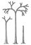 Lycopod tree illustration, drawing, engraving, ink, line art, vector