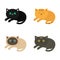 Lying cat icon set. Siamese, red, black, orange, gray color cats in flat design style.