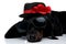 Lying down Teckel dog with sunglasses and hat looking away