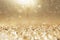 lying golden christmas particles and snow crystals. Holiday celebration background