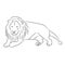 Lying lion from the contour black lines on white illustration