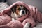 lying pillows cozy wearing pink hoodie Dog