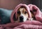 lying pillows cozy wearing pink hoodie Dog