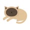 Lying sleeping siamese cat in flat design style. Cute cartoon character.