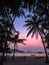 Lying under palm trees at sunset