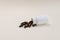Lying White Bottle, Container With Scattered Brown Sunflower Lecithin Softgel Pill