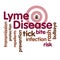 Lyme Disease Word Cloud, Tick, Bulls eye rash