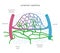 Lymphatic system of capillaries and vessels in complex with blood vessels. Lymph circulation scientific illustration.