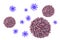 Lymphocytes and viruses. Immune defense