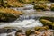 Lynn Camp Prong Cascades Flowing Over the Rocks