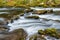 Lynn Camp Prong Cascades Flowing Over the Rocks