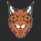 Lynx or bobcat head